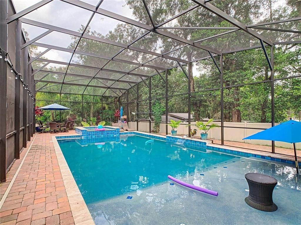 Glass Ceilings, Interior, Pool, Sun Room