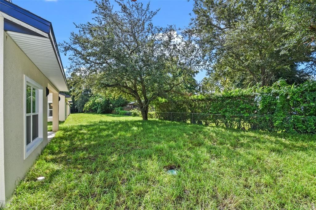 Backyard, Exterior