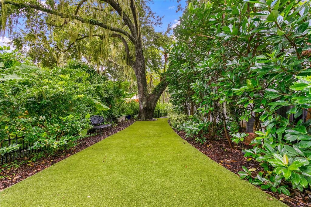 Backyard, Exterior