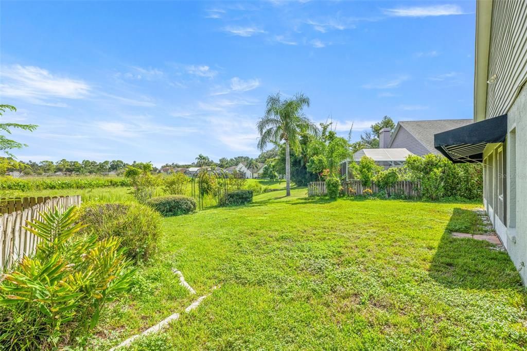 Backyard, Exterior