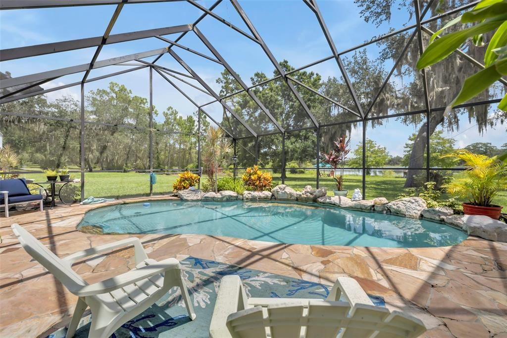 Glass Ceilings, Interior, Pool, Sun Room