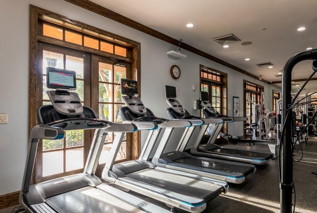 Fitness Equipment, Gym, Interior, Recessed Lighting