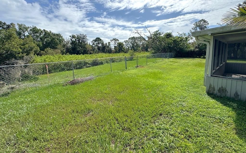 Backyard, Exterior