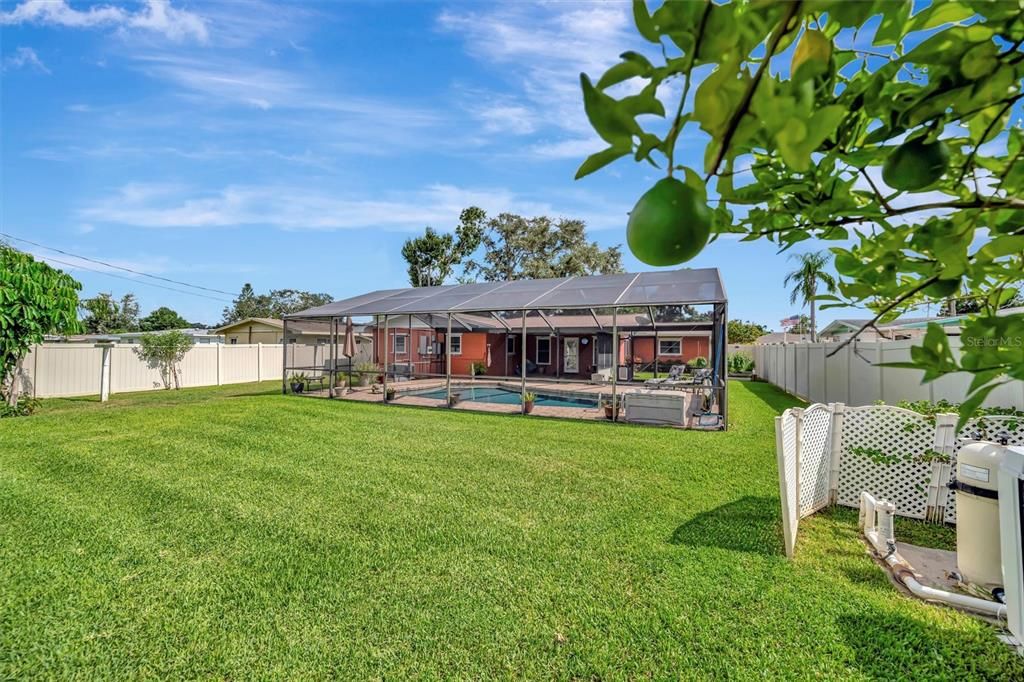 Backyard, Exterior