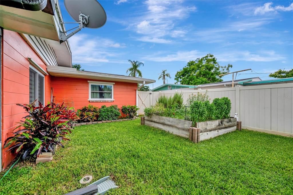 Backyard, Exterior