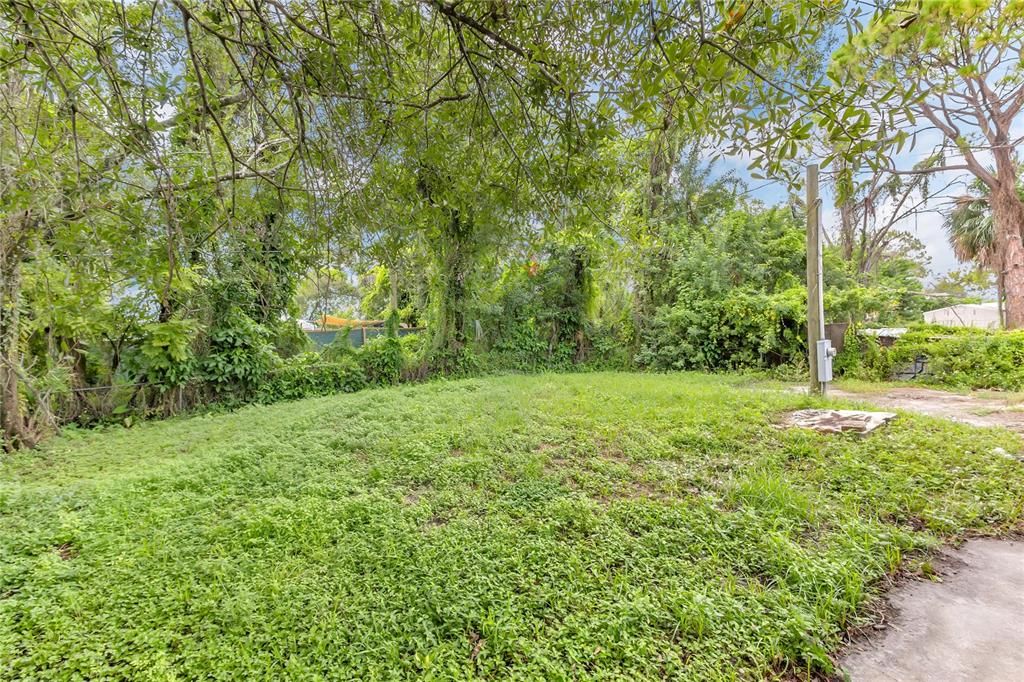 Backyard, Exterior