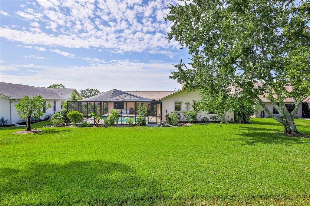 Backyard, Exterior