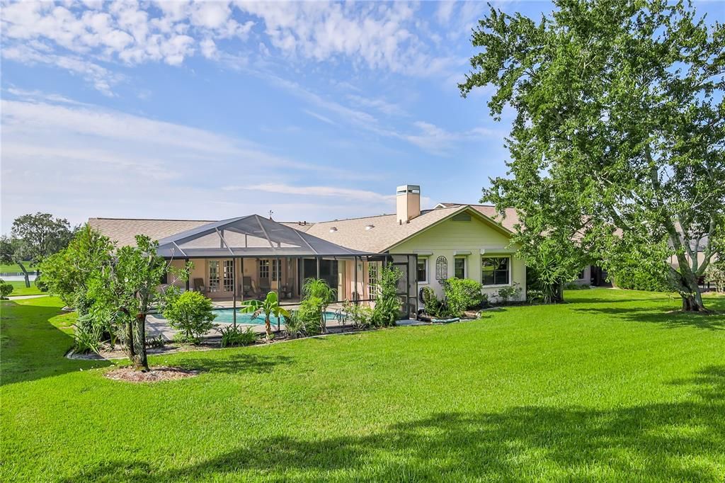 Backyard, Exterior, Pool