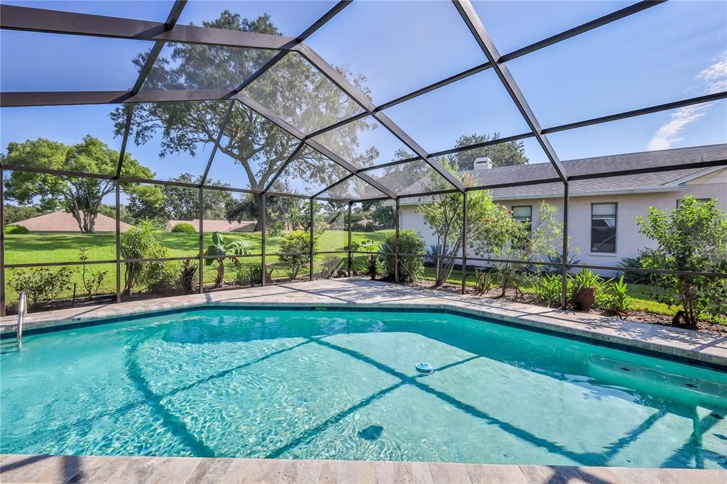 Glass Ceilings, Interior, Pool, Sun Room