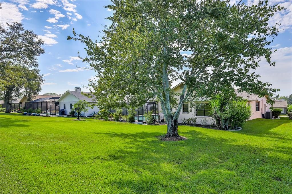 Backyard, Exterior, Playground