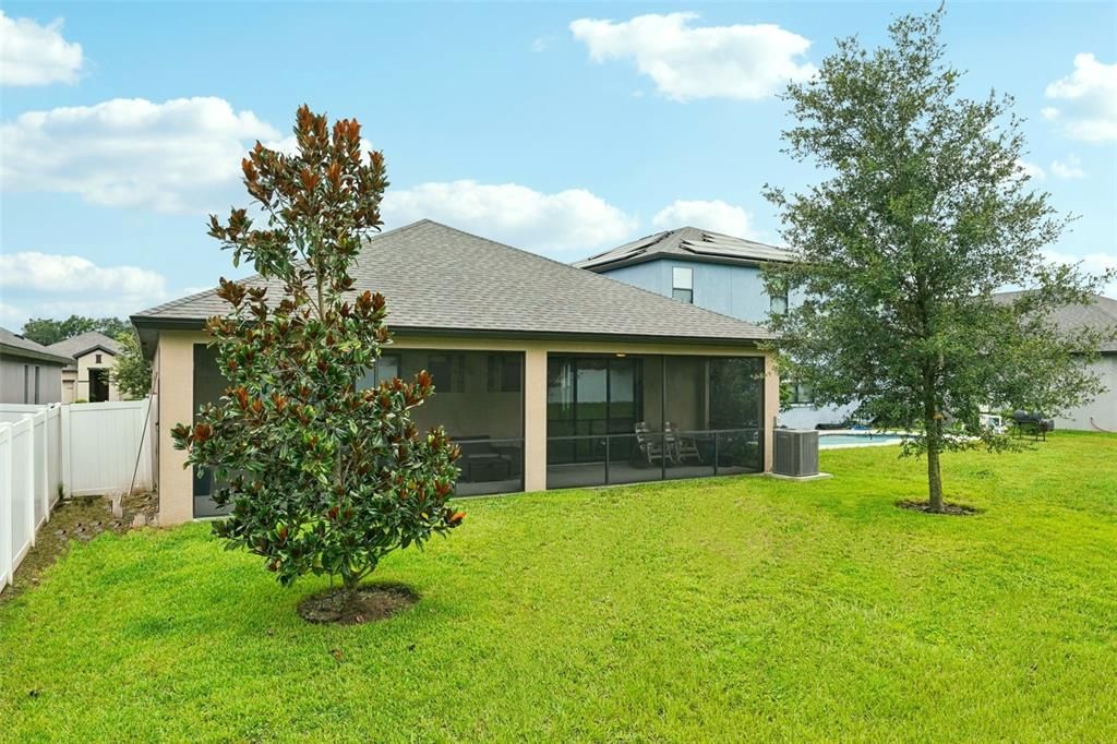 Backyard, Exterior