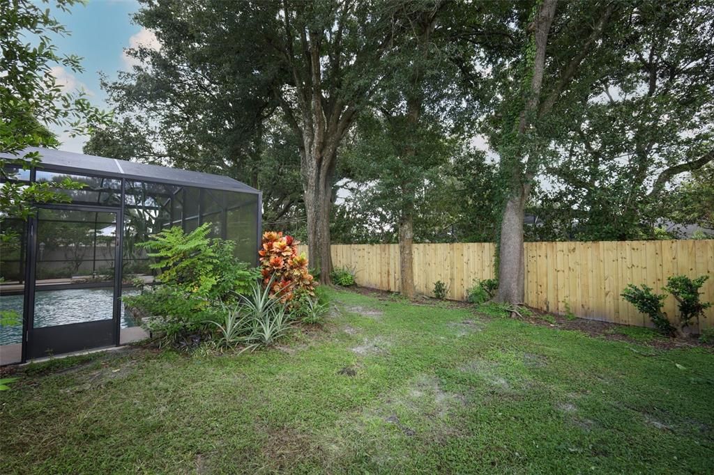 Backyard, Exterior