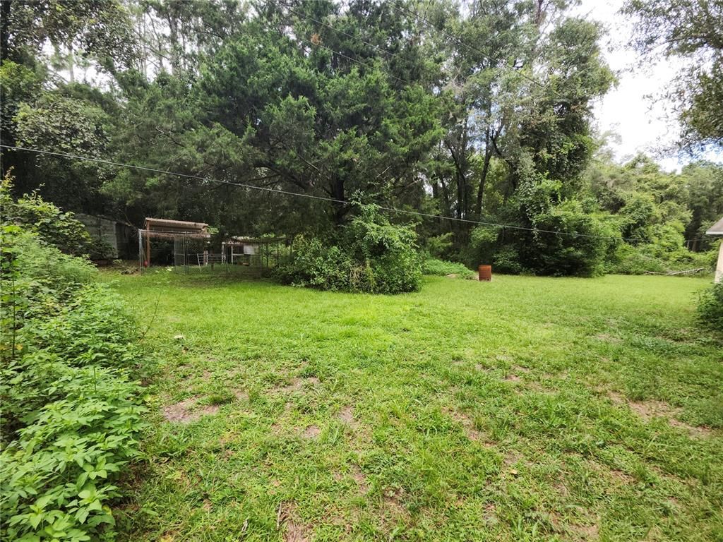 Backyard, Exterior