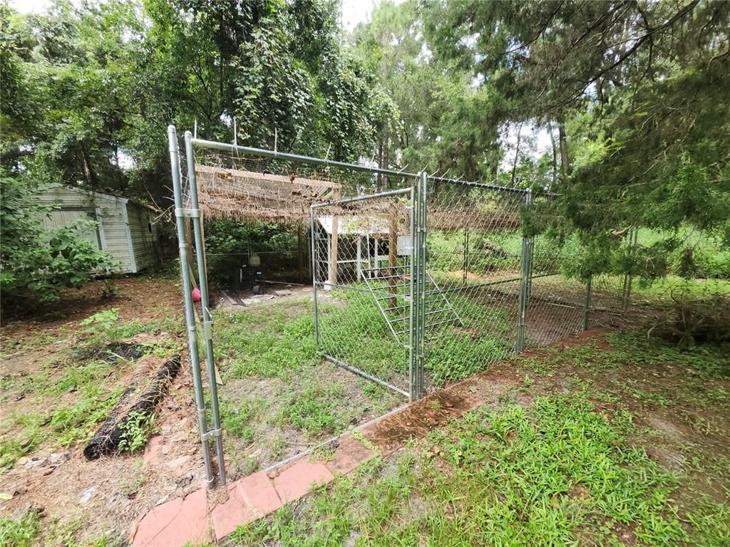 Backyard, Exterior