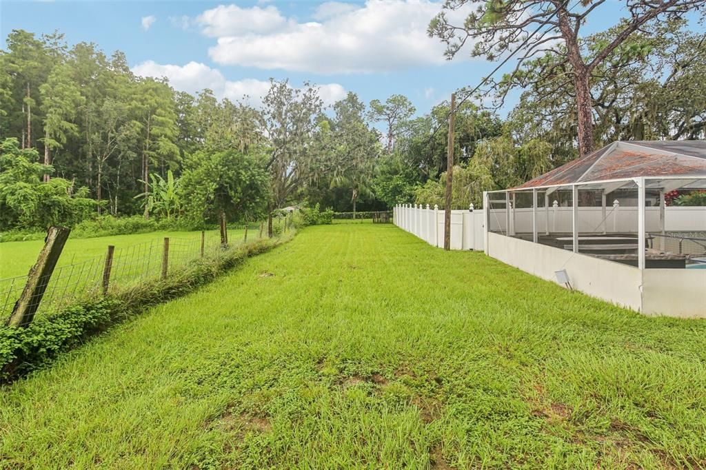 Backyard, Exterior