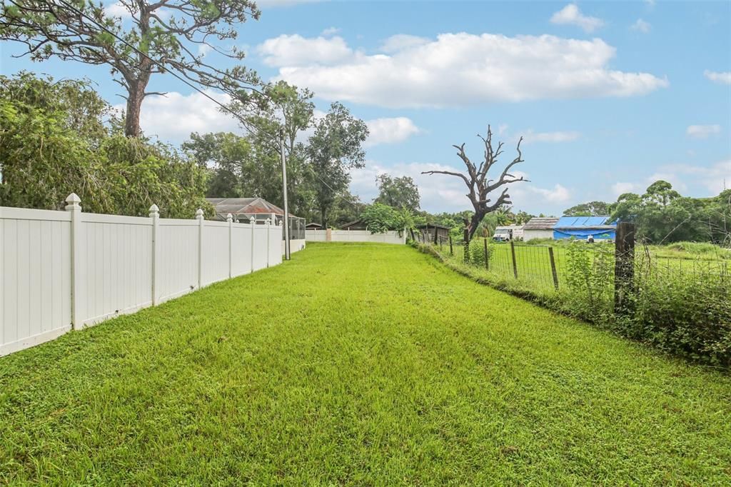 Backyard, Exterior