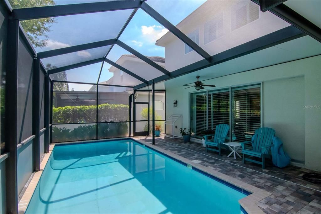 Glass Ceilings, Interior, Pool, Sun Room