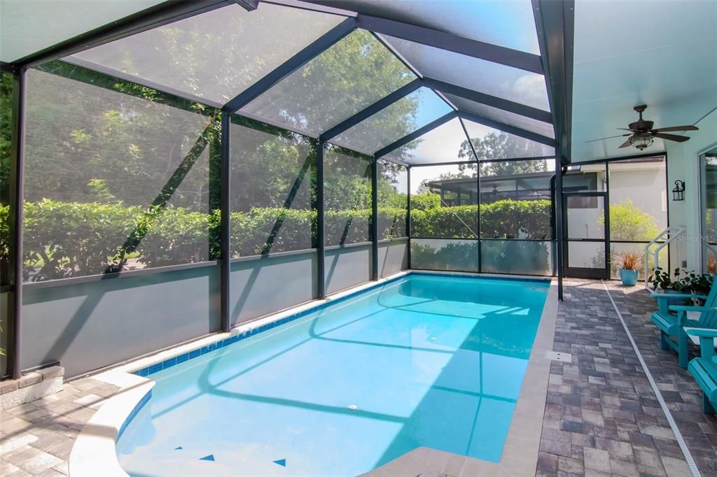 Glass Ceilings, Interior, Pool, Sun Room