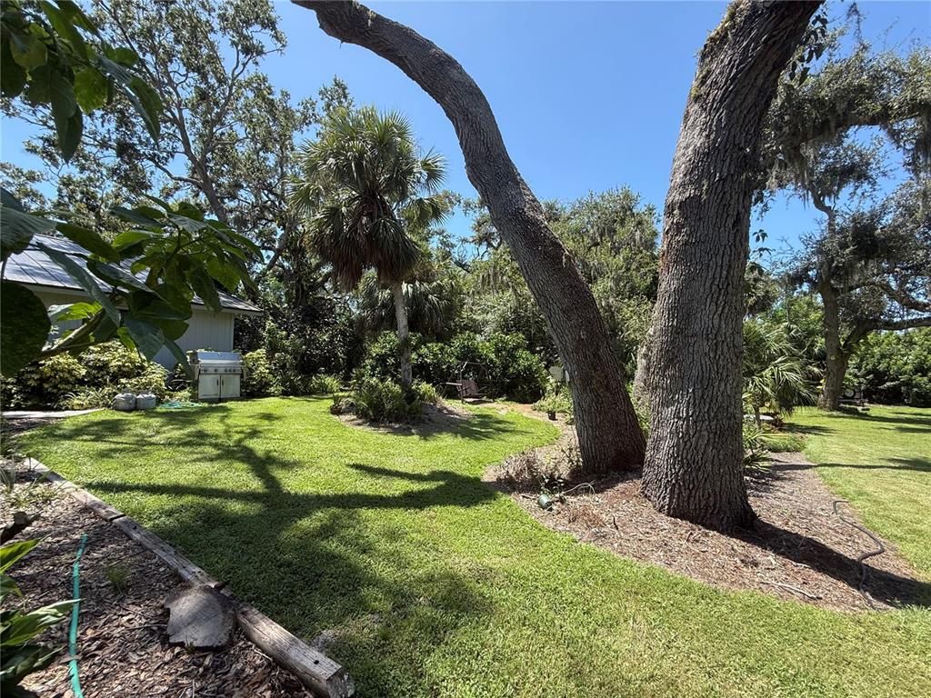 Backyard, Exterior
