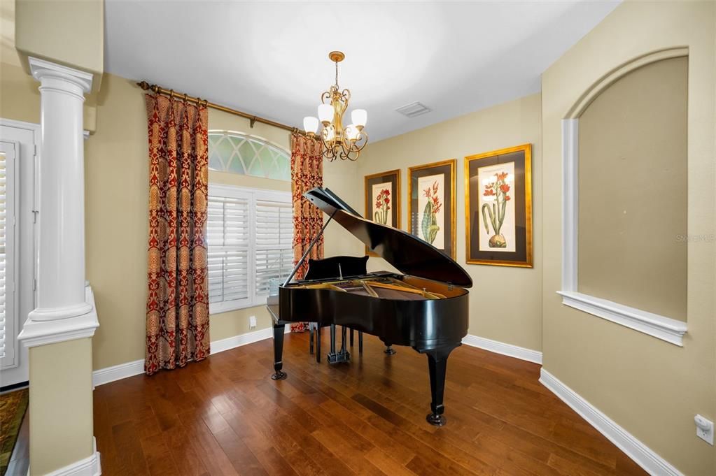 Chandelier, Interior, Piano, Wood Texture Flooring