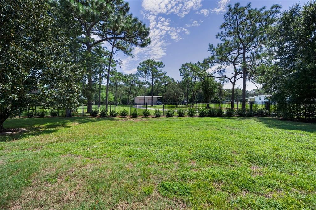 Backyard, Exterior
