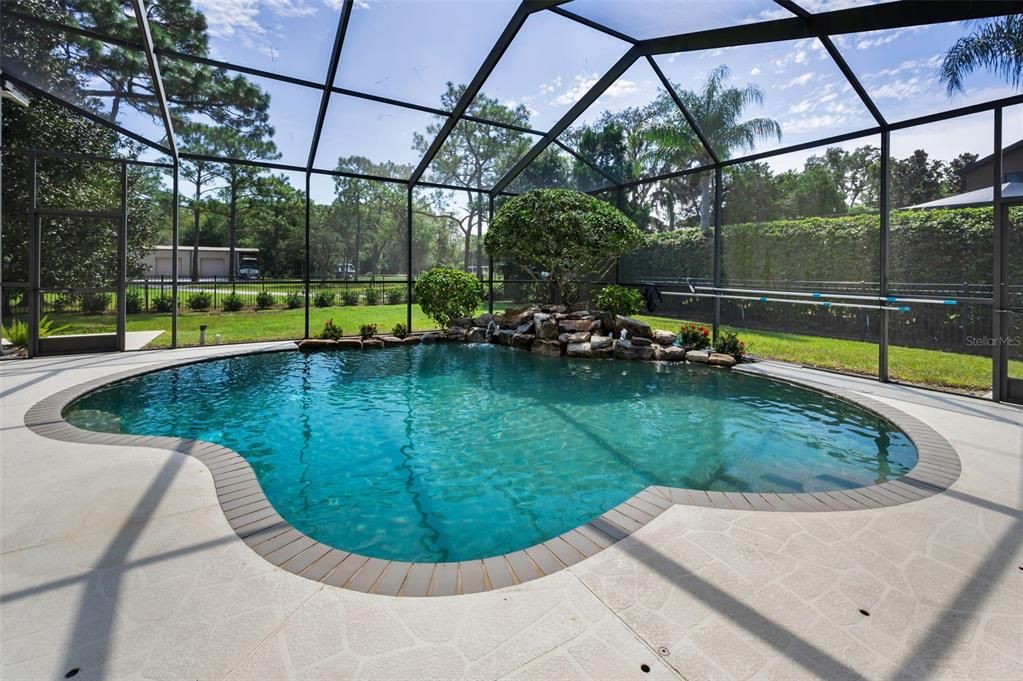 Glass Ceilings, Interior, Pool, Sun Room