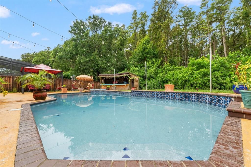 Exterior, Pool