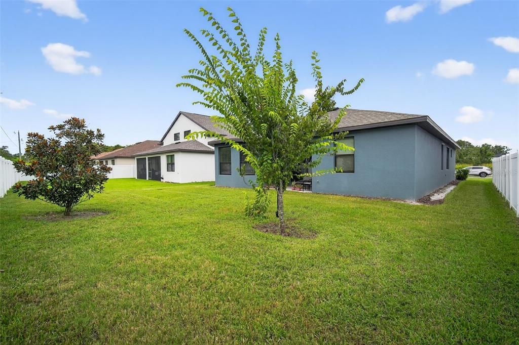 Backyard, Exterior