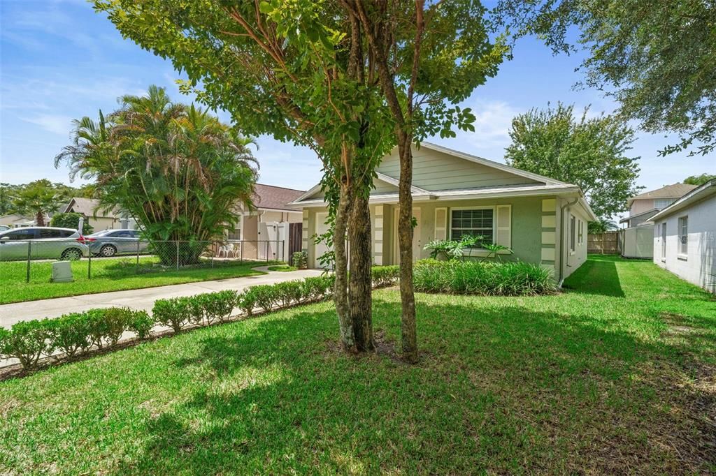 Backyard, Exterior