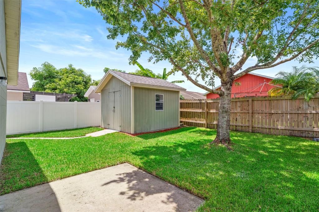 Backyard, Exterior