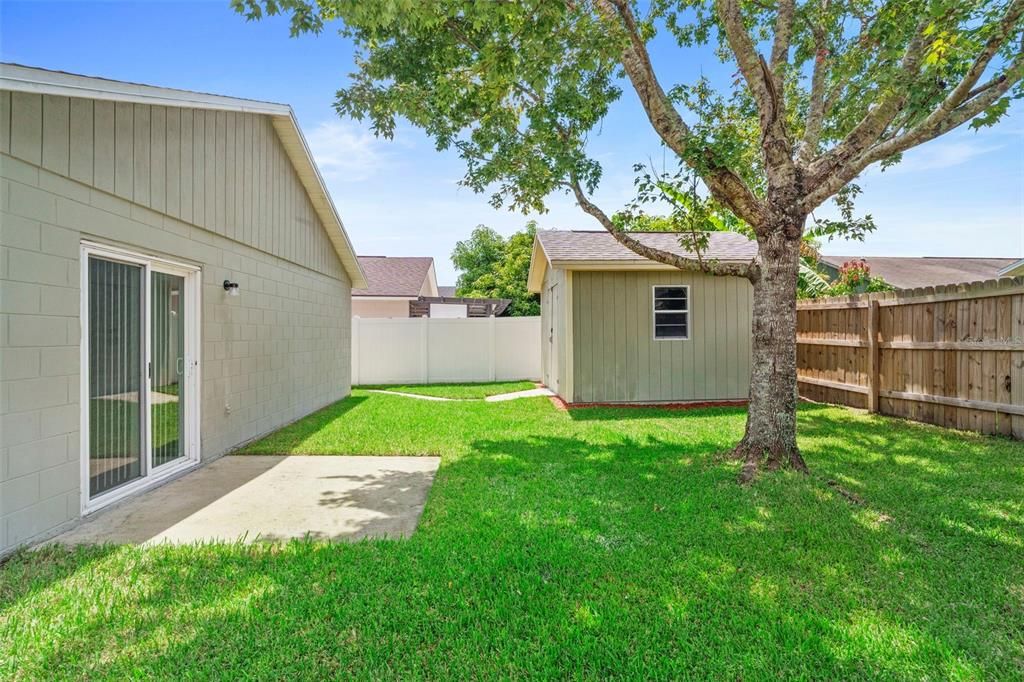 Backyard, Exterior