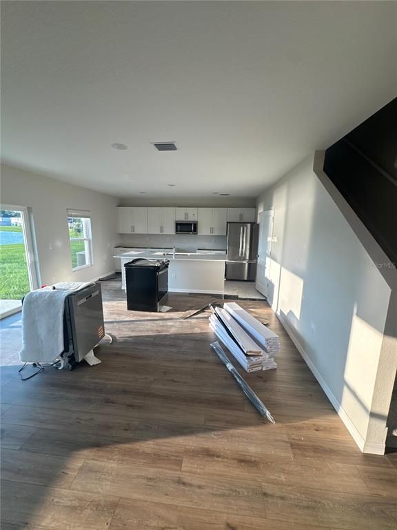 Interior, Kitchen, Stainless Steel Appliances, Wood Texture Flooring