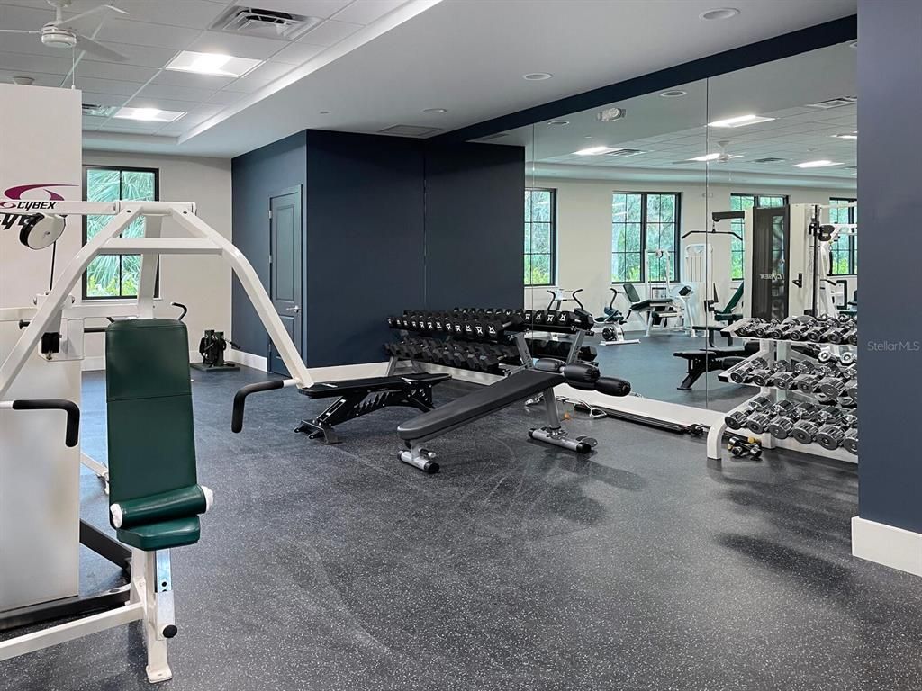 Fitness Equipment, Gym, Interior, Recessed Lighting