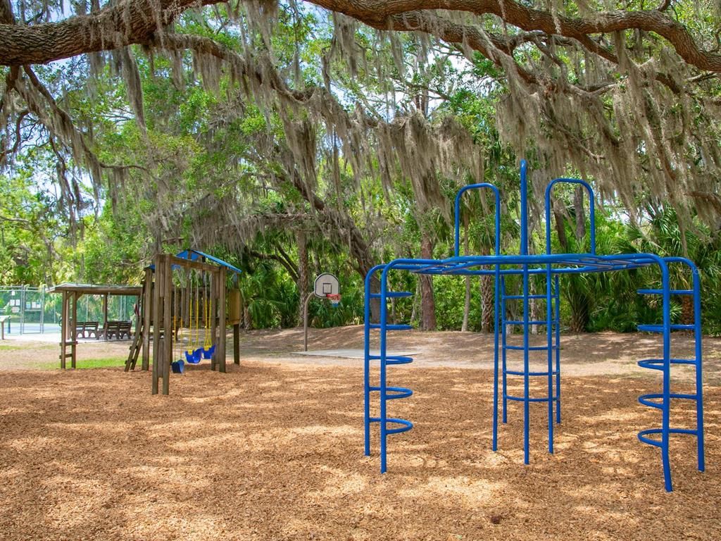 Backyard, Exterior, Playground