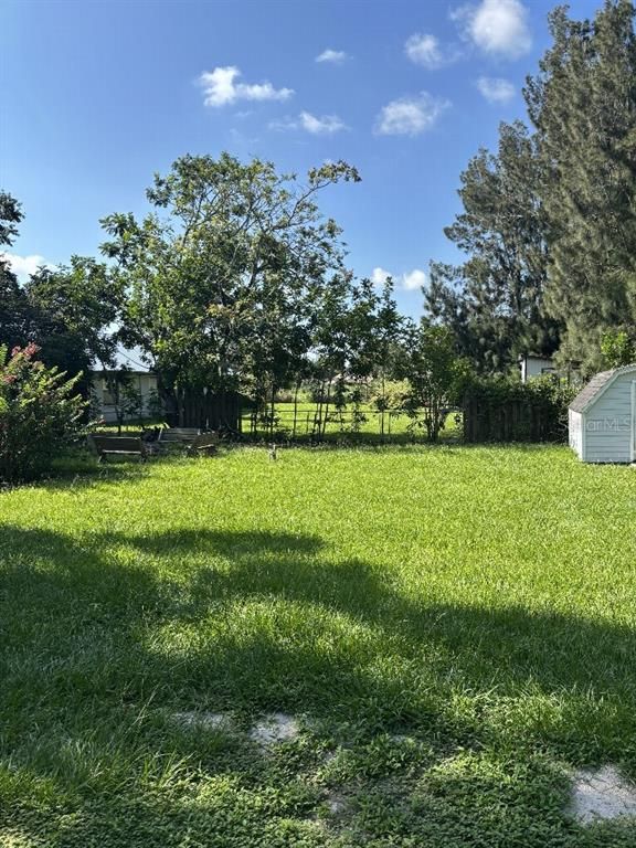 Backyard, Exterior