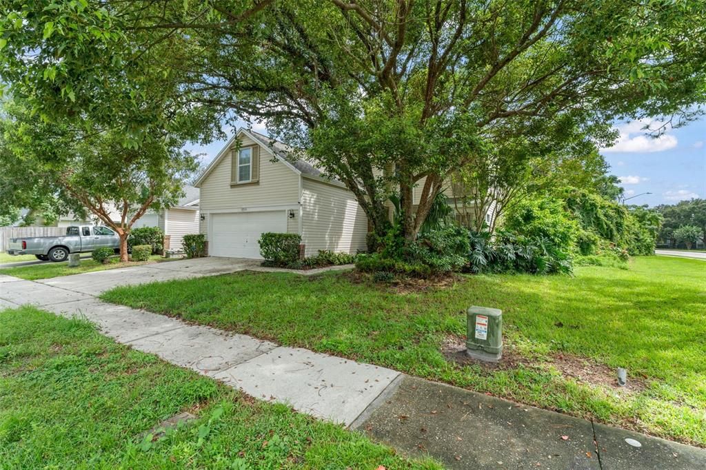 Backyard, Detached Garage, Exterior
