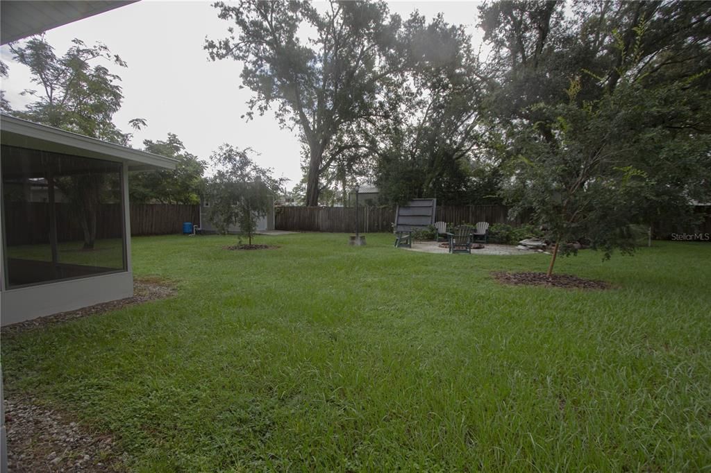 Backyard, Exterior