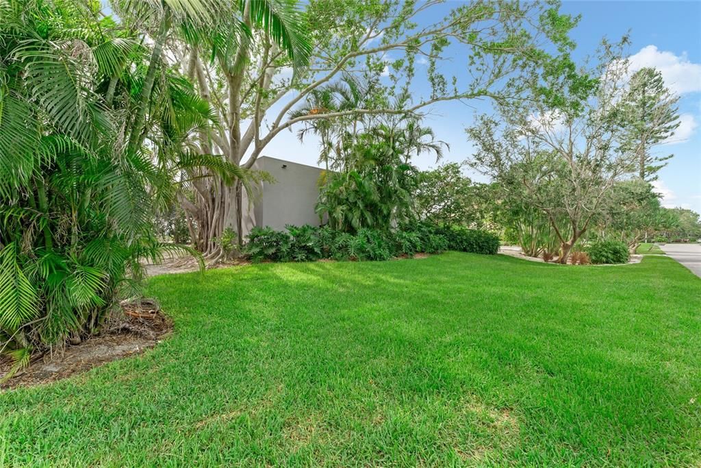 Backyard, Exterior