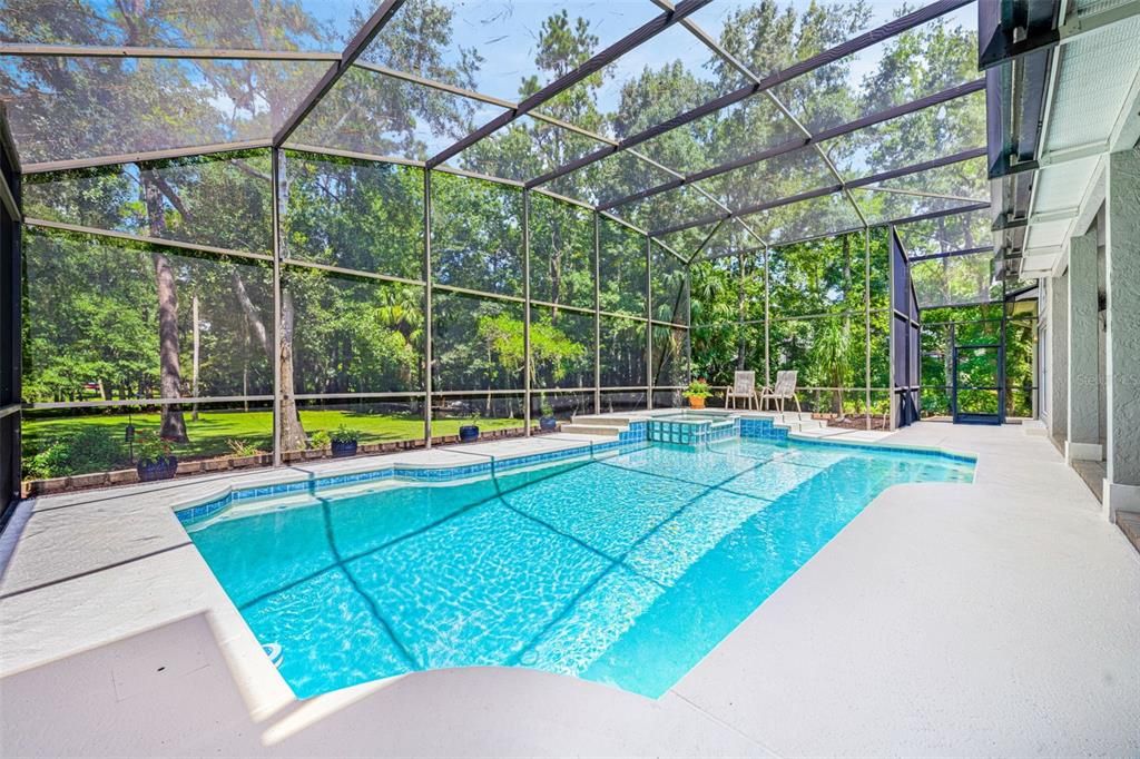 Glass Ceilings, Interior, Pool, Sun Room