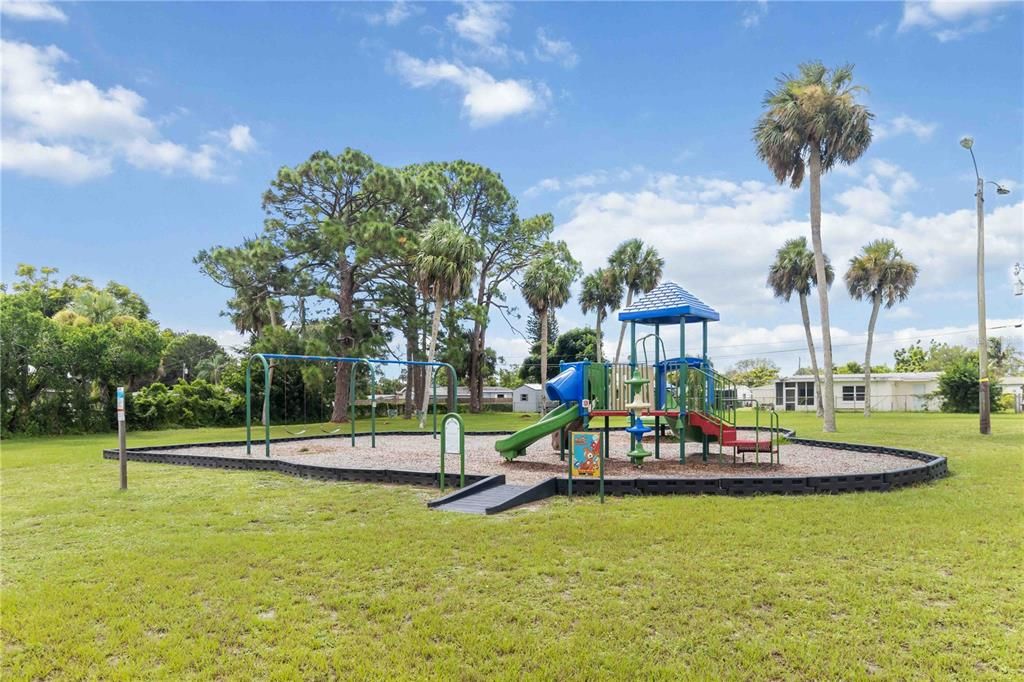 Backyard, Exterior, Playground