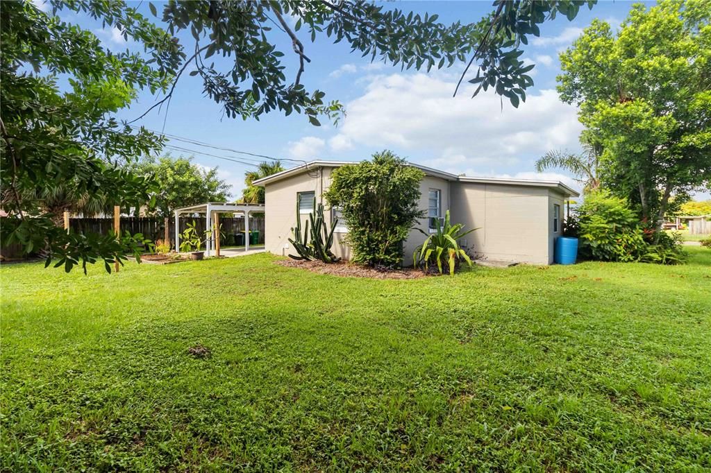Backyard, Exterior