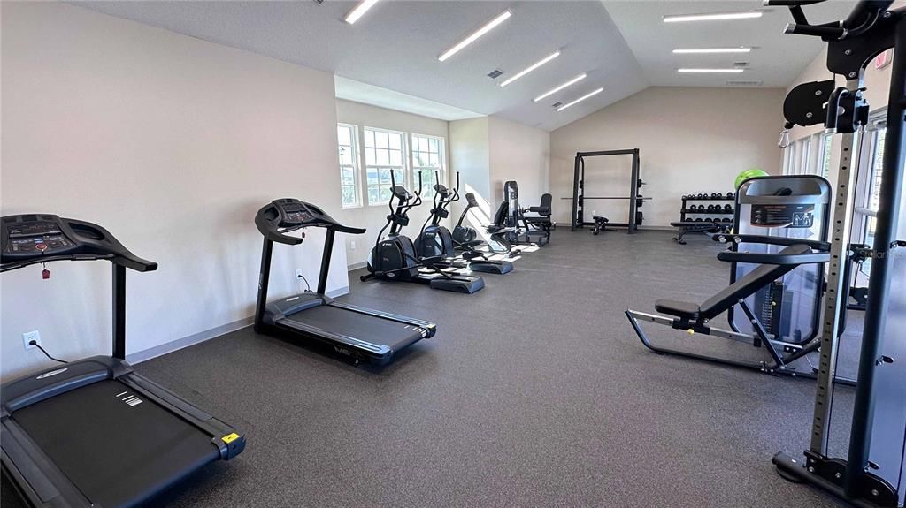 Fitness Equipment, Gym, Interior, Recessed Lighting