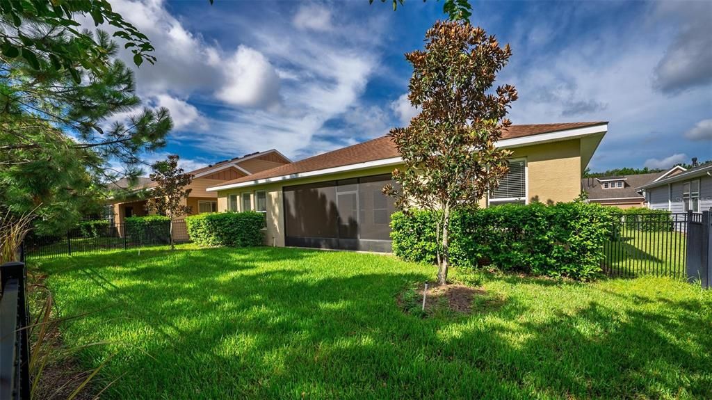 Backyard, Exterior