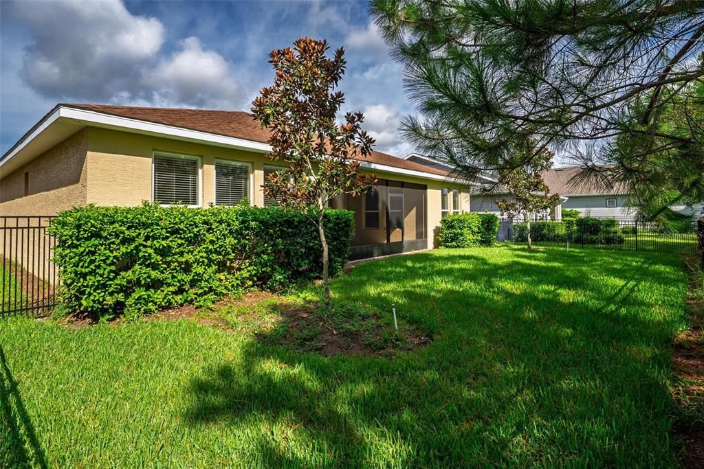 Backyard, Exterior