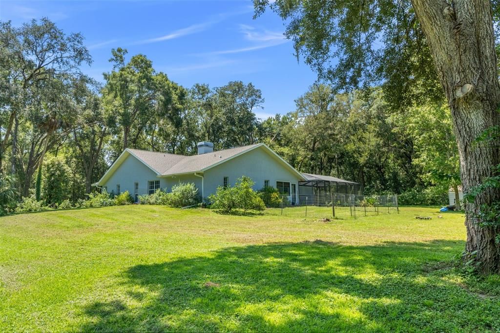 Backyard, Exterior
