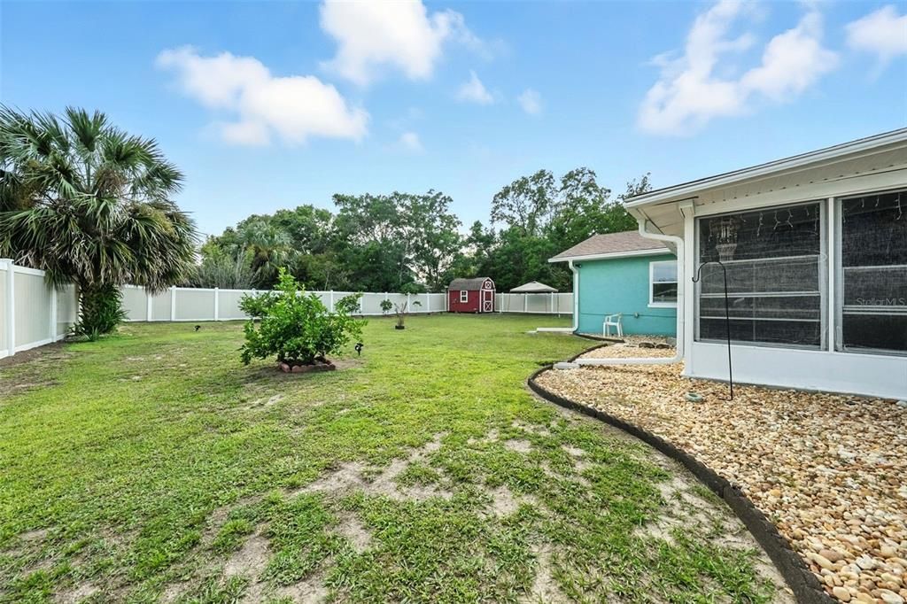 Backyard, Exterior