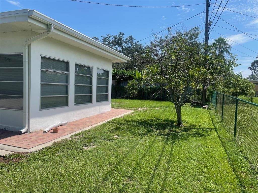 Backyard, Exterior