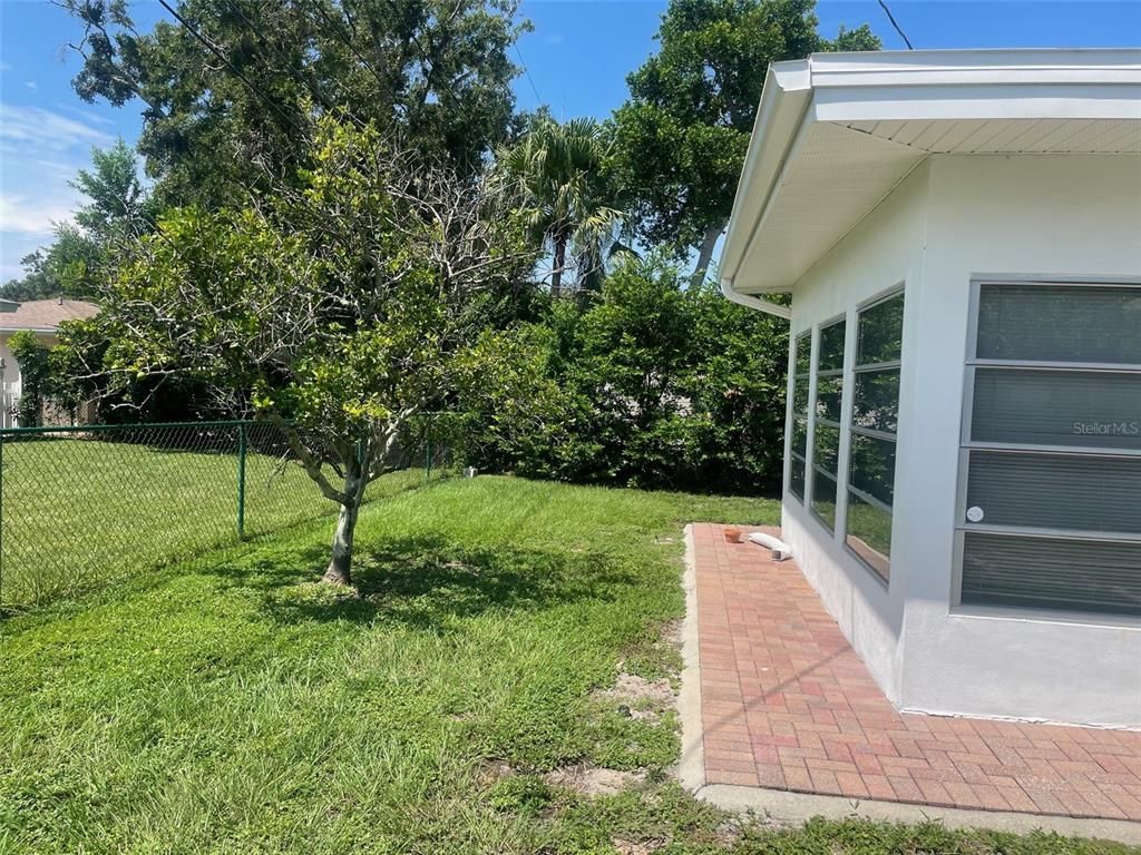Backyard, Exterior