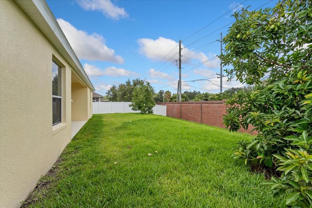 Backyard, Exterior