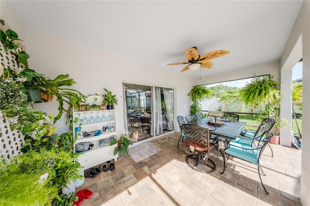 Dining room, Interior, Sun Room